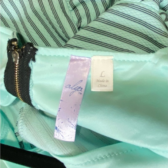 157. ALYA Sleeveless (above knee) Dress - size Large - Picture 4 of 5